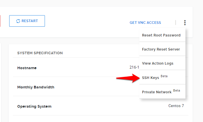 Navigation through SSH Key Management page in the VPS Management Panel